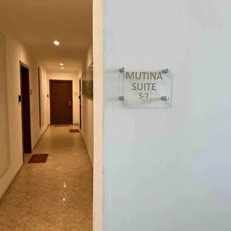 Mutina 6 *